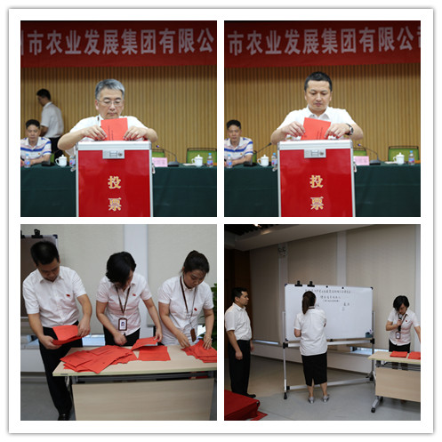 投票現場(chǎng).jpg